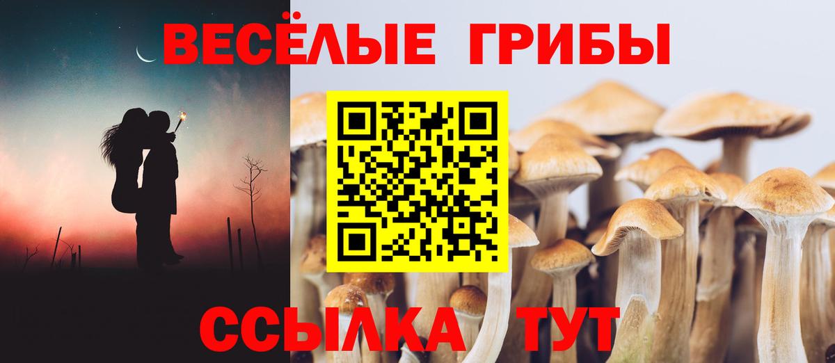 Карпинск  Галлюциногенные грибы Magic Shrooms  Галлюциногенные грибы мухоморы  Вход с VPN 
