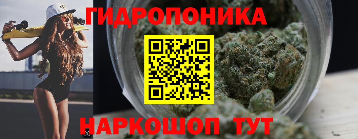 Конопля марихуана  Конопля White Widow  Карпинск  Вход с VPN 